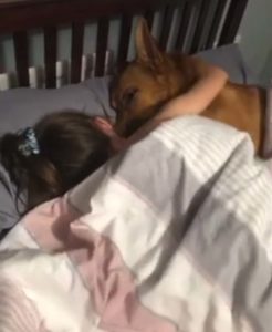 girl-dog-friendship