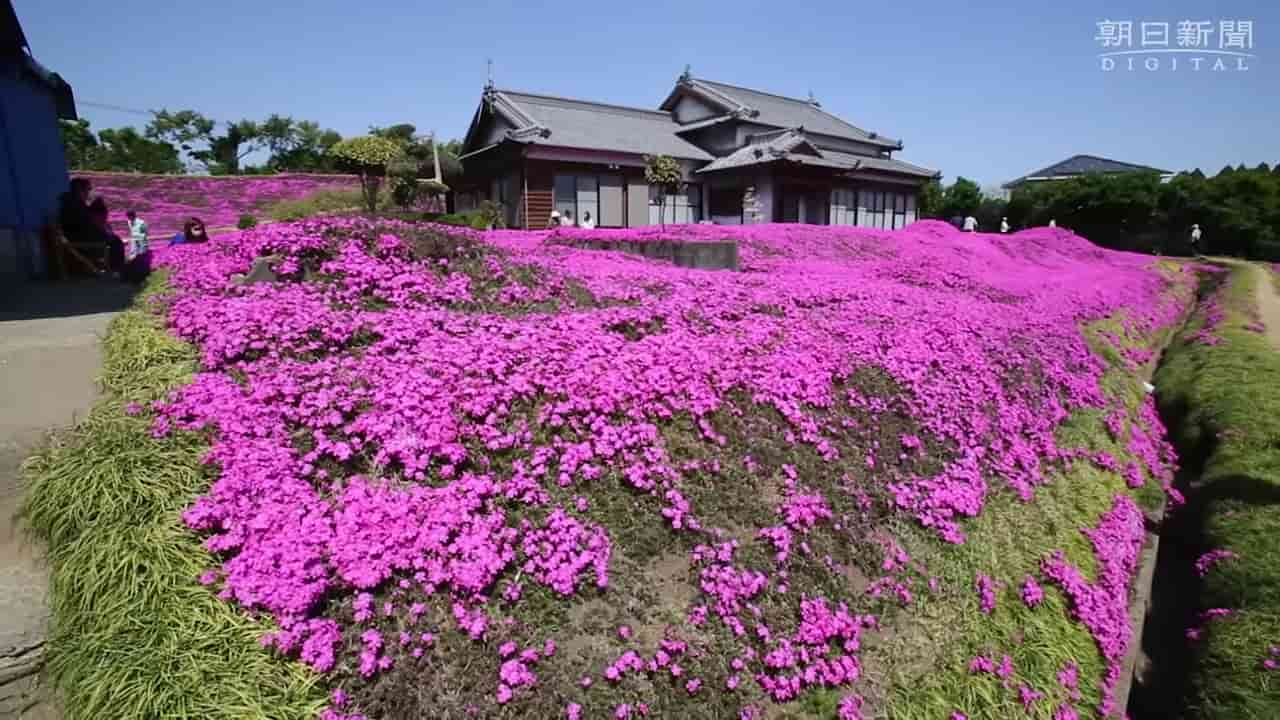 Japanese-husband-makes-garden-for-blind-wife-5