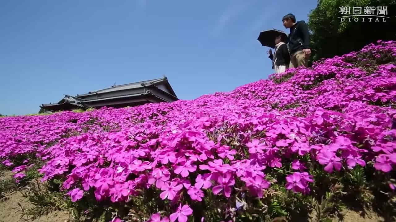 Japanese-husband-makes-garden-for-blind-wife-3