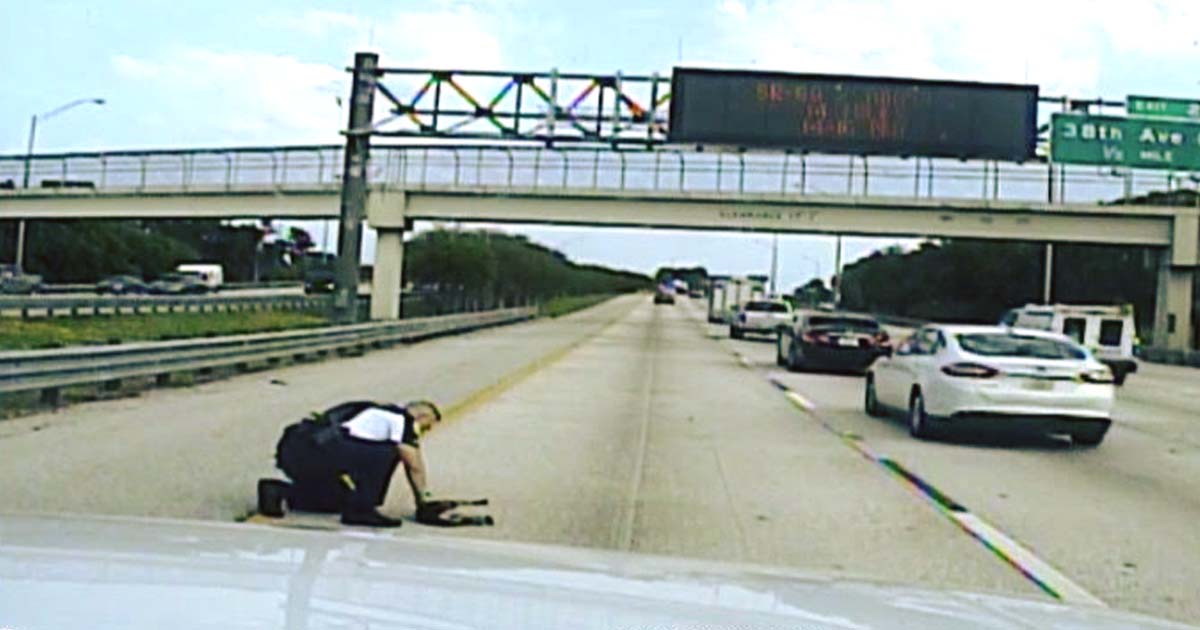 florida-cop-rescue-dog