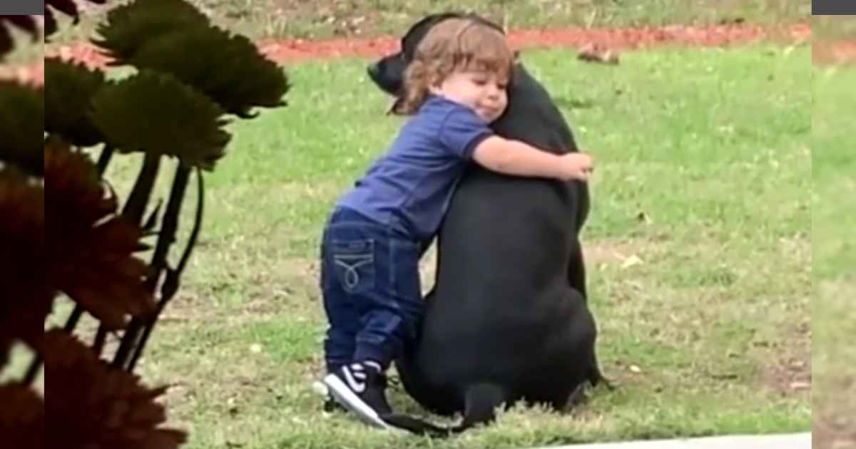 toddler-hug-dog
