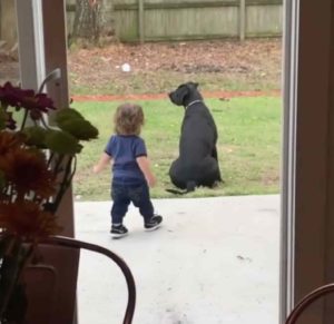 toddler-hug-dog-2