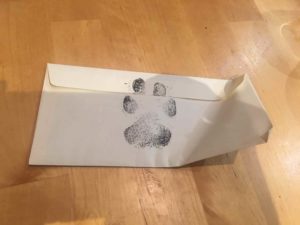 boys-dog-letter-3