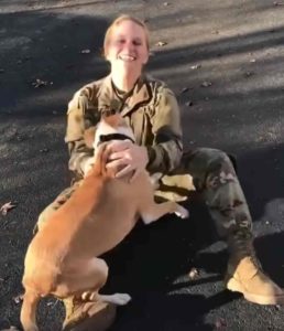 soldier-dog-heartwarming-reunion