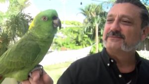 parrot-calls-police-2