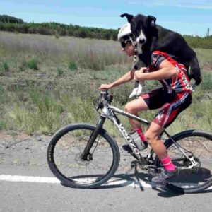 cyclist-carries-dehydrated-dog-3