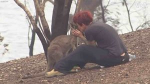 woman-saves-kangaroo-australia-fires