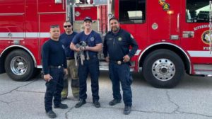 firefighters-rescue-dog