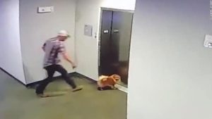 man-save-dog-elevator-2