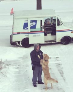 dog-waits-for-mailman-1