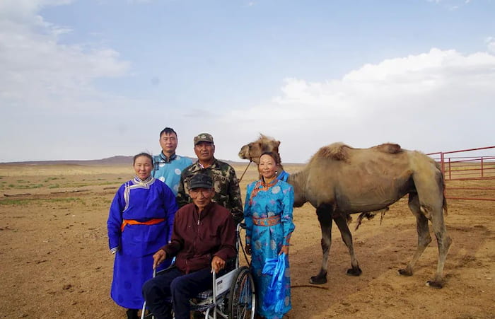 Camel Walks For 7 Days In Desert Alone To Find Former Owners | FaithPot