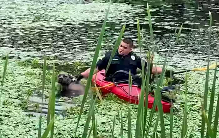 officer-rescues-dog