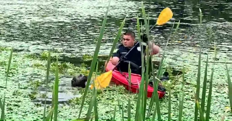police-officer-rescues-drowning-dog