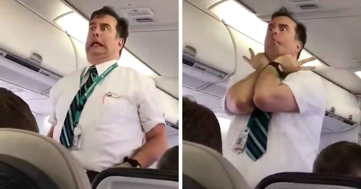 Funny Westjet Flight Attendant 2024