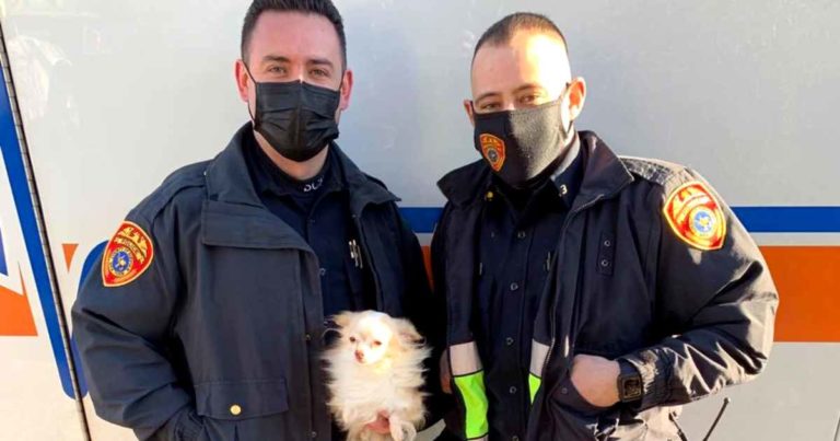 police-officers-rescue-pets-from-house-fire