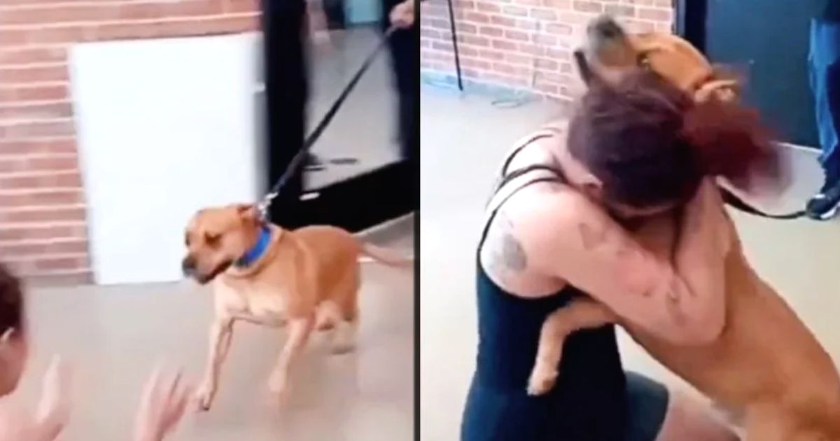 woman reunited with lost dog