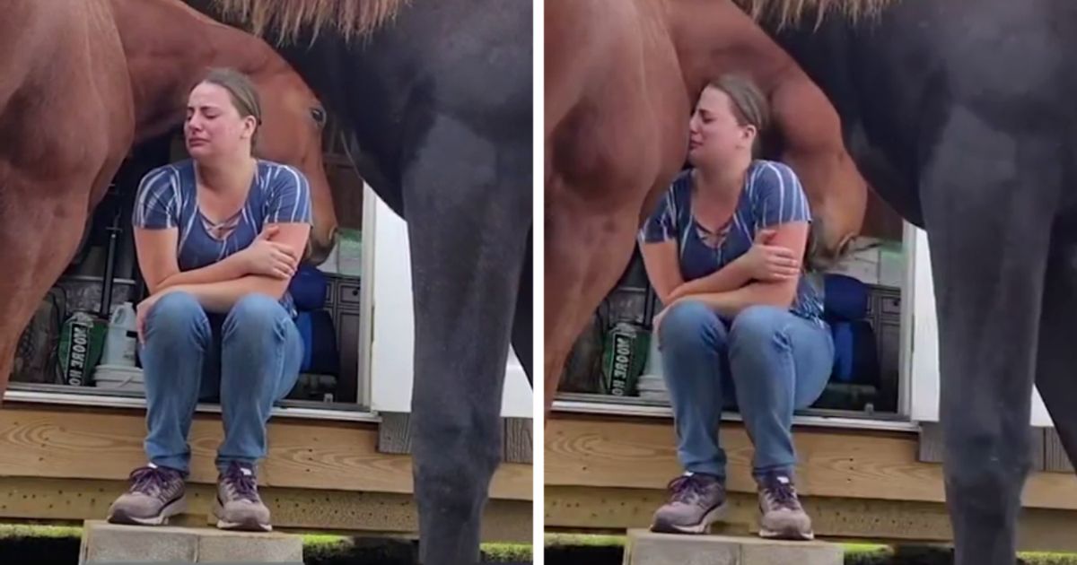 horse-comforts-crying-girl