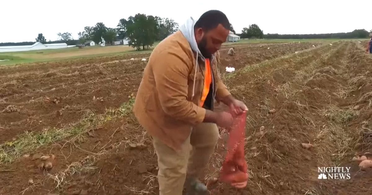 nfl-player-becomes-farmer-jason-brown