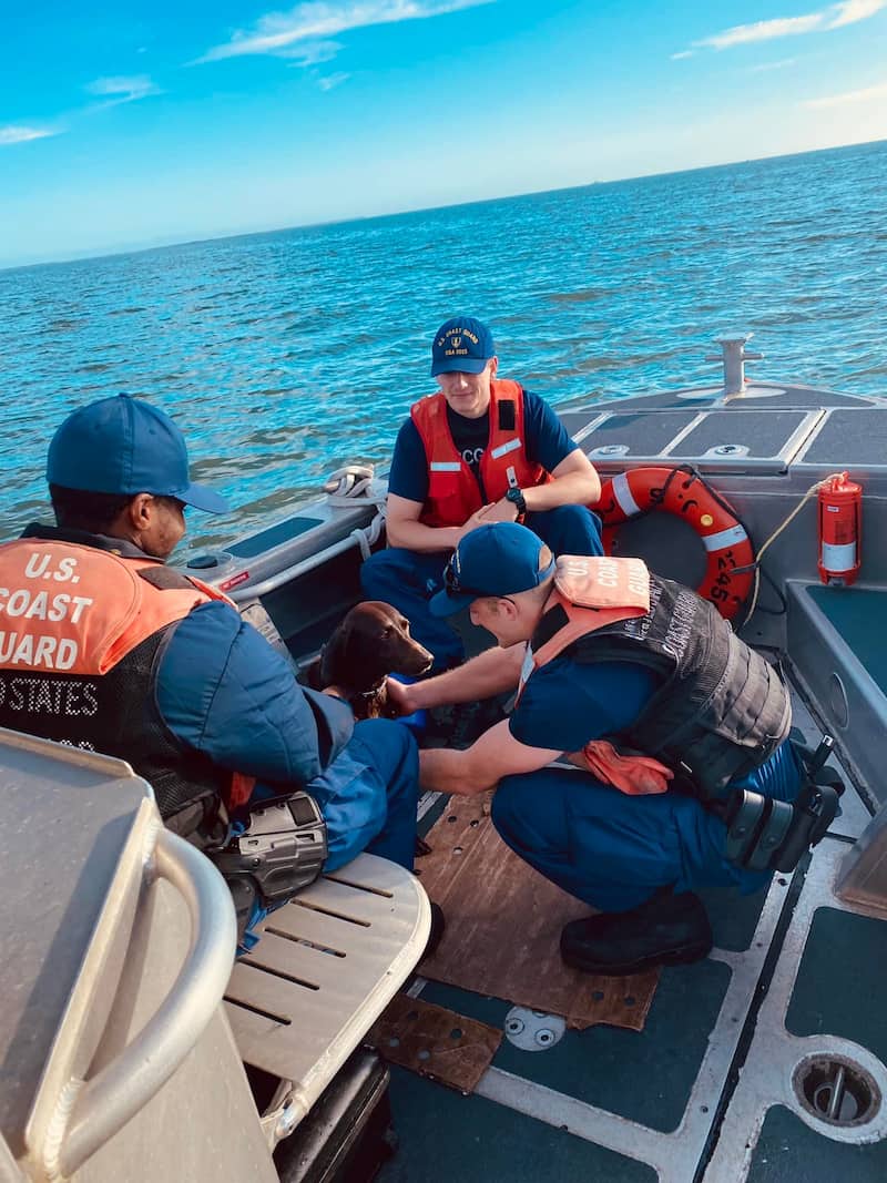 coast-guard-rescues-dog-in-sea