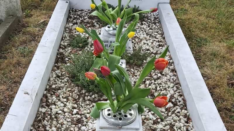 boy-cleans-cemetery-corey-hall-2