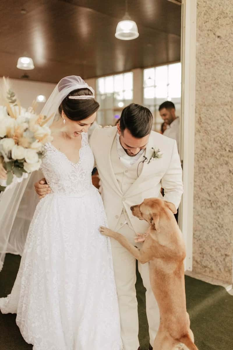 newly-wedded-adopts-stray-dog