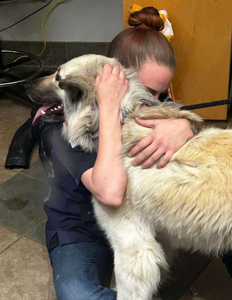 dog reunited with owner