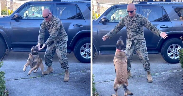dog-reunited-with-military-owner