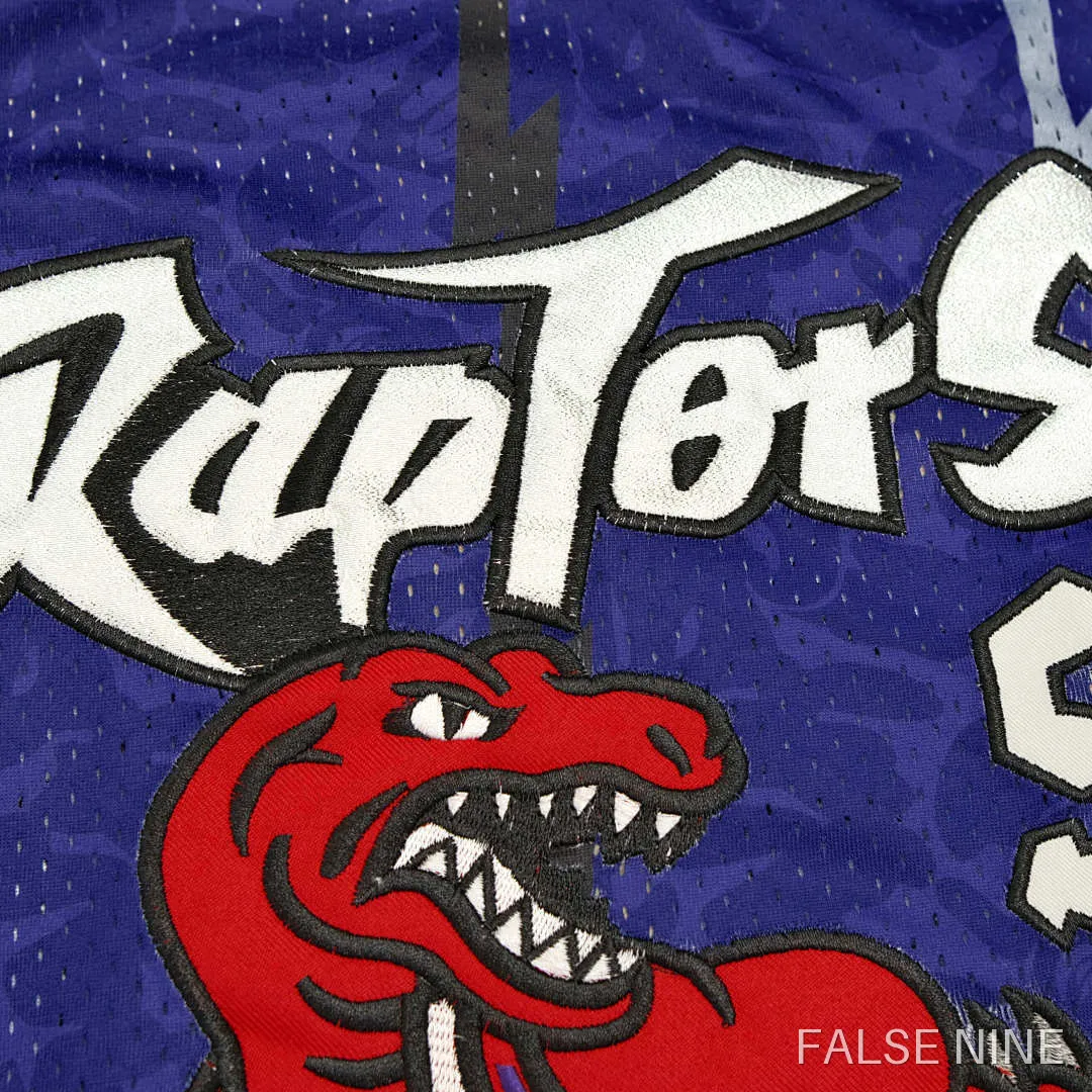 Toronto Raptors 1993 Retro Jersey (BAOE), photo 4