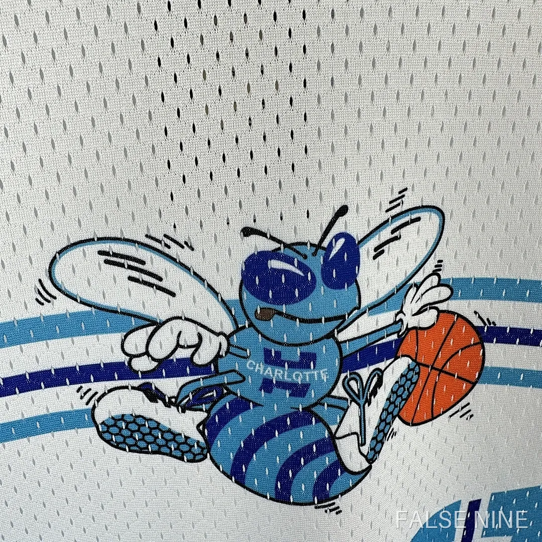 Charlotte Hornets Retro Short Sleeved Shirt (25-26), photo 14