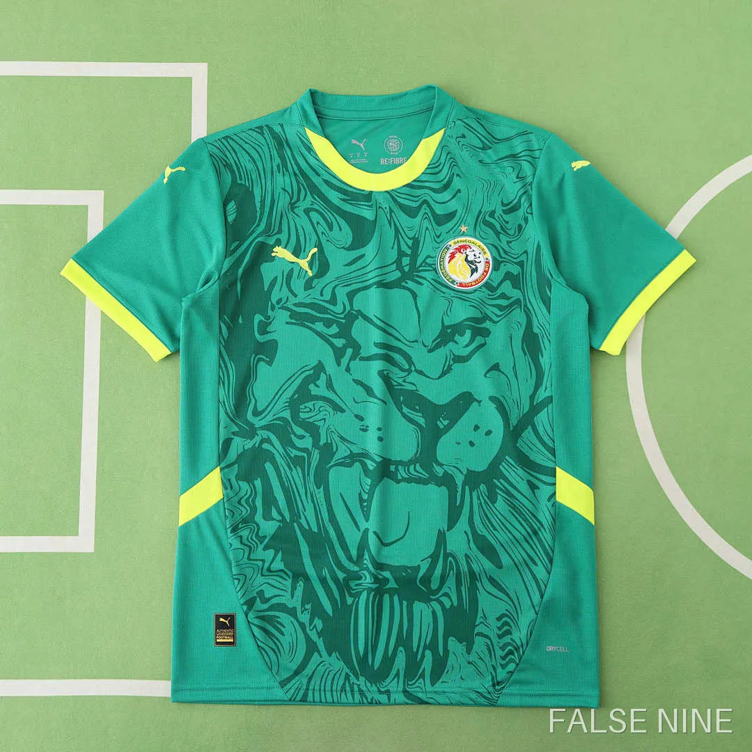 Senegal 24/25 Away Shirt (Fan Version), photo 1
