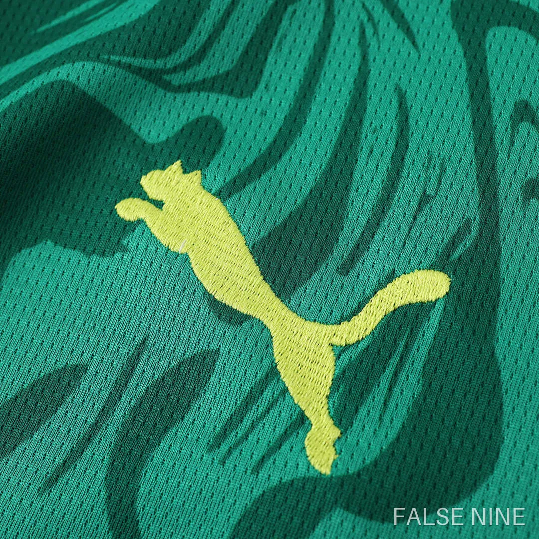 Senegal 24/25 Away Shirt (Fan Version), photo 5