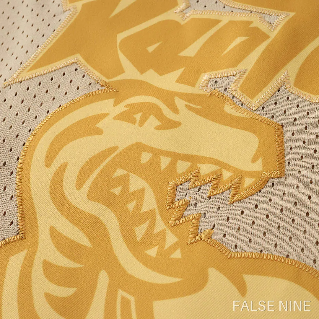 Toronto Raptors Retro 15 Jersey, photo 13