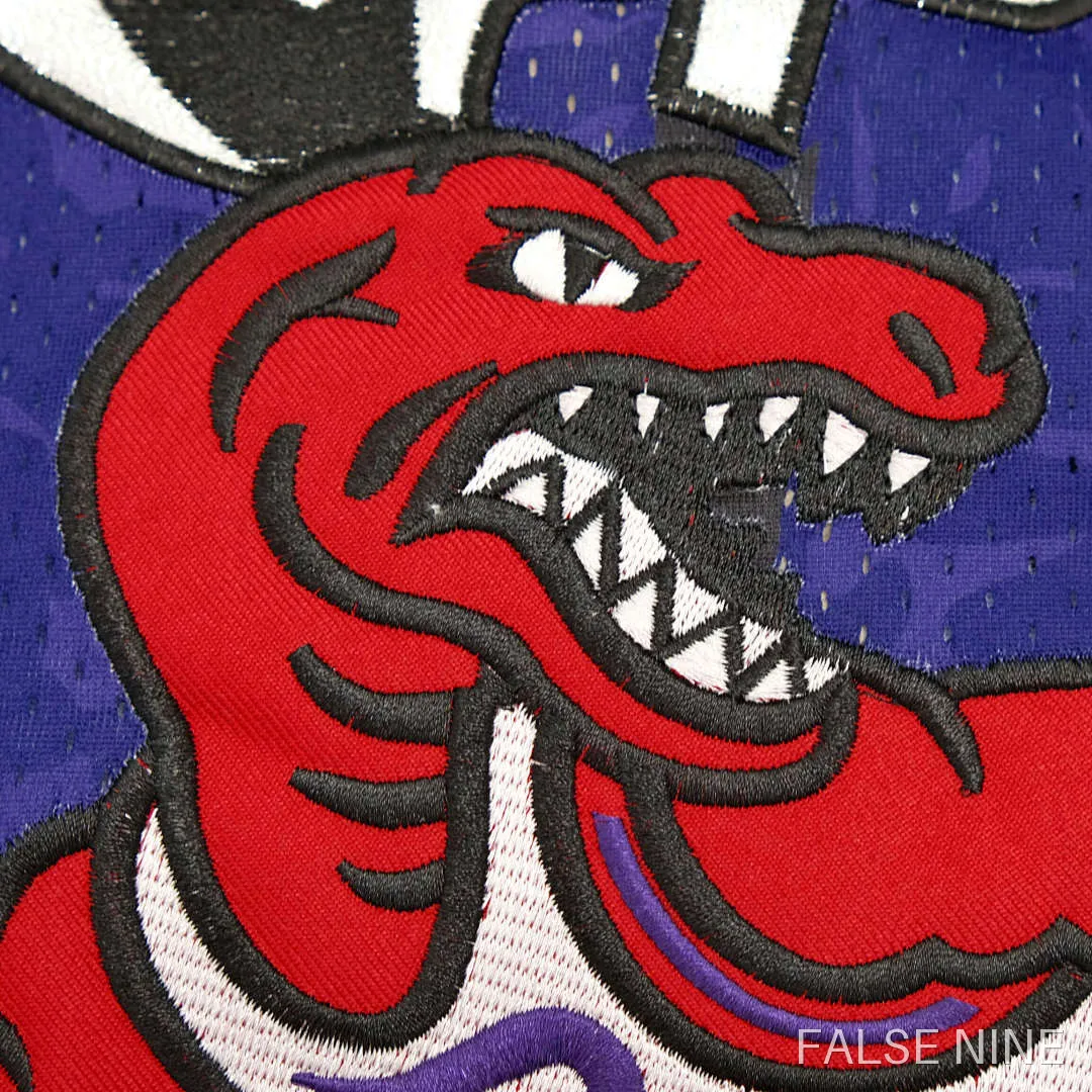 Toronto Raptors 1993 Retro Jersey (BAOE), photo 3