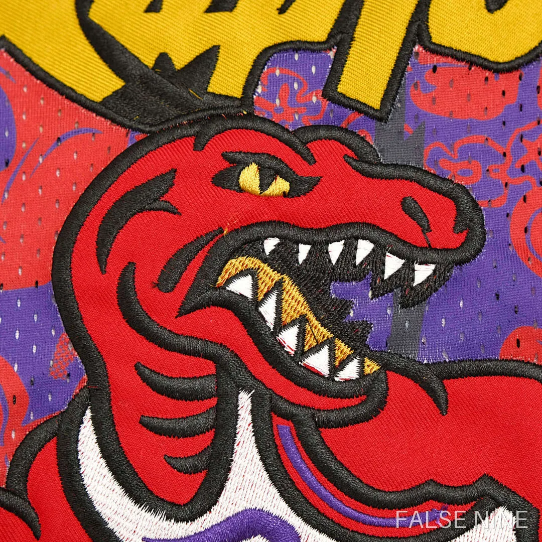 Toronto Raptors 1998-99 Retro Jersey, photo 3