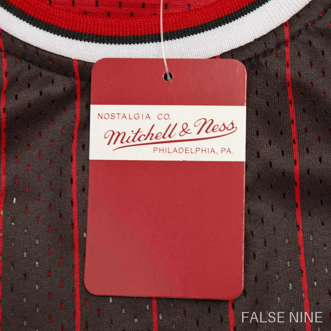 Chicago Bulls 1995-96 Home Jersey (Retro), photo 10