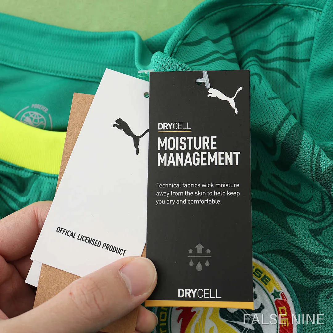 Senegal 24/25 Away Shirt (Fan Version), photo 18