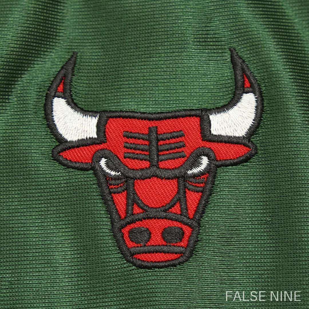 Chicago Bulls 2008-09 Retro Jersey, photo 12
