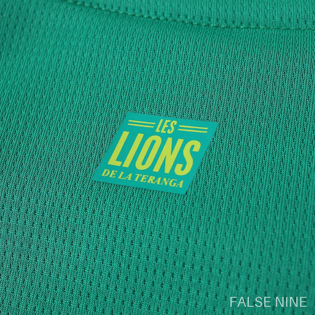 Senegal 24/25 Away Shirt (Fan Version), photo 22