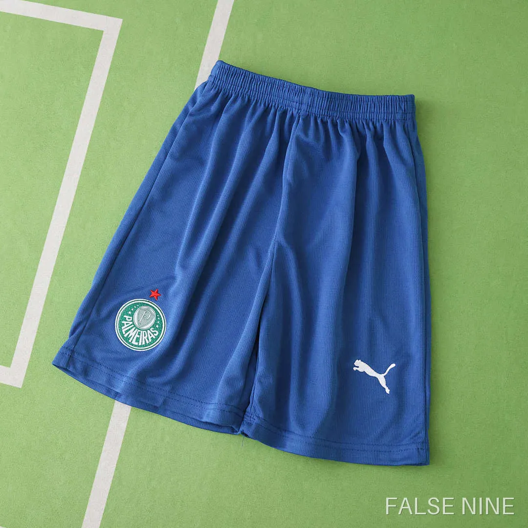 Palmeiras 25/26 Third Kit (Kids), photo 6