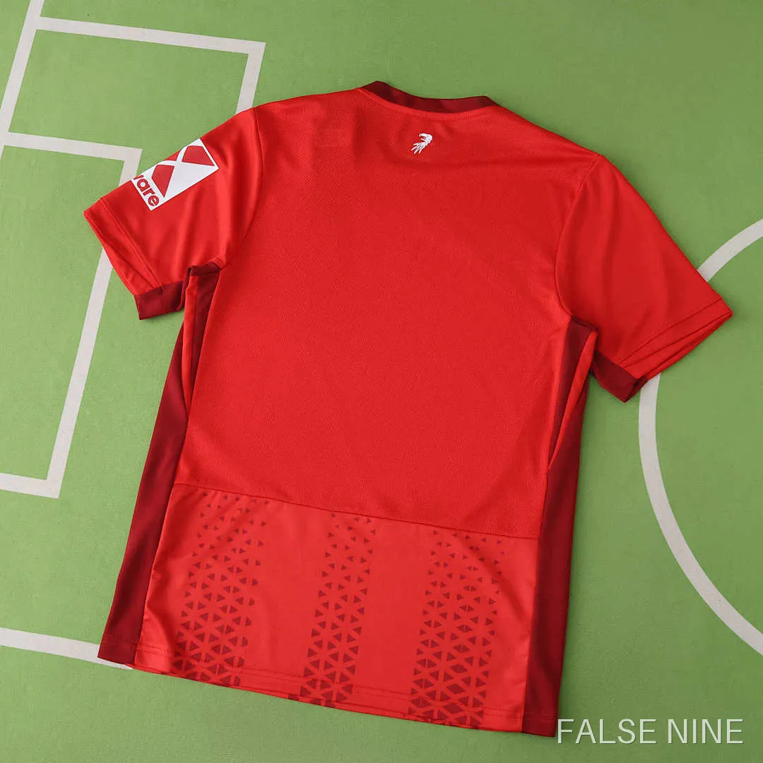SC Freiburg 25/26 Home Shirt (Fan Version), photo 2