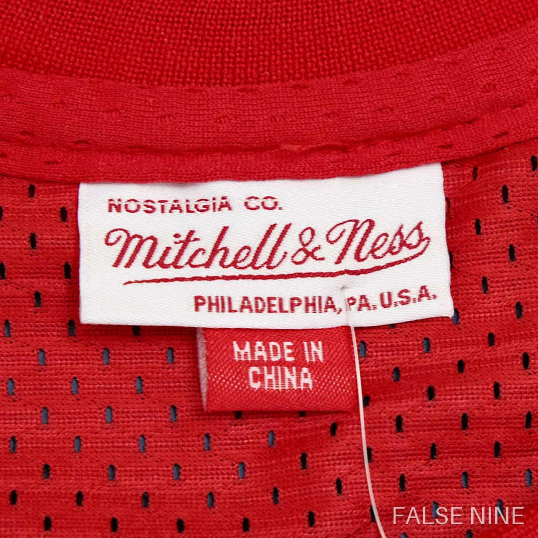 Chicago Bulls 1995-96 Home Jersey (Retro), photo 8