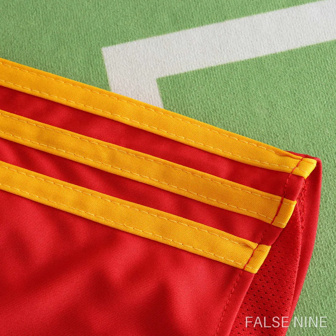2008 Spain home retro Fan version, photo 9