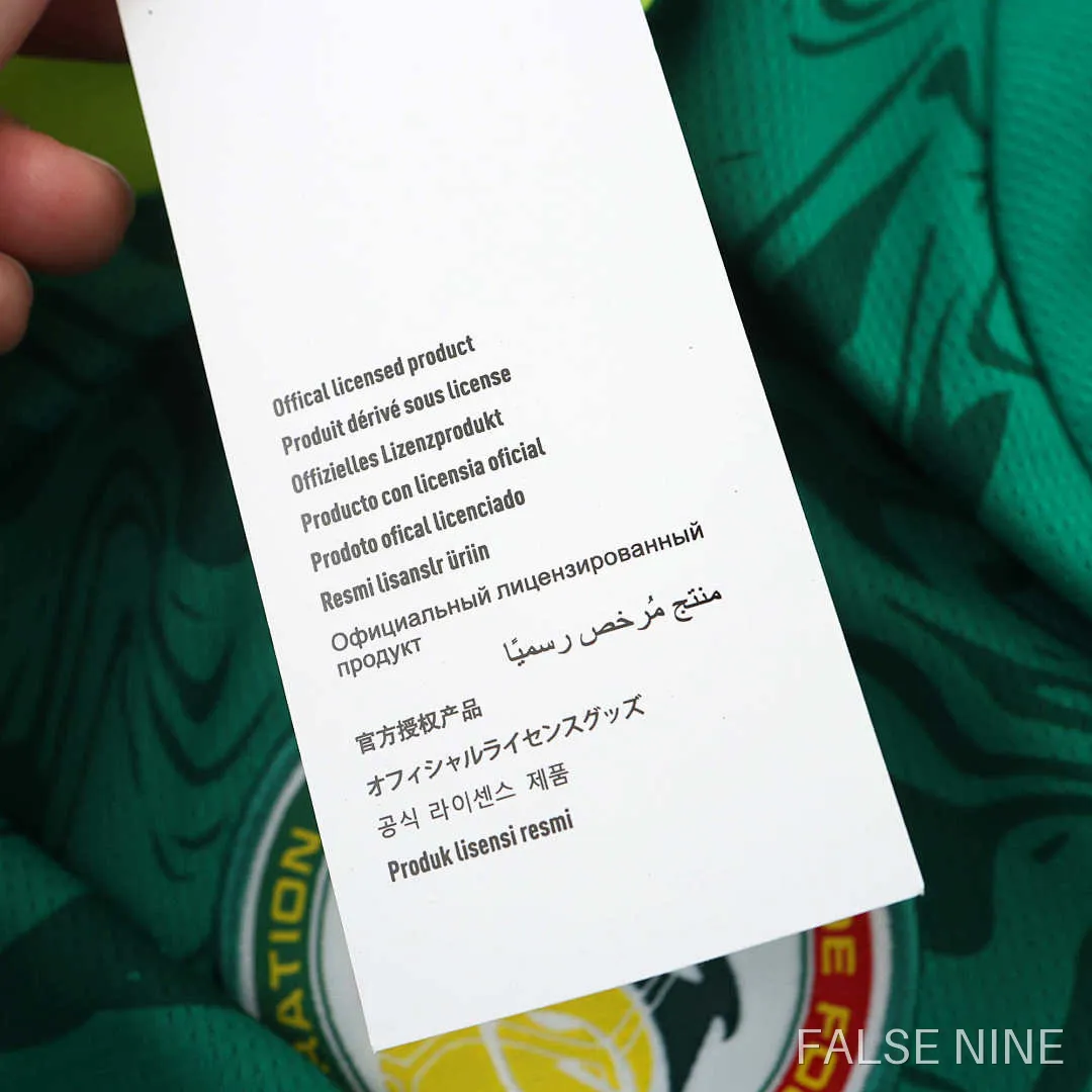 Senegal 24/25 Away Shirt (Fan Version), photo 20