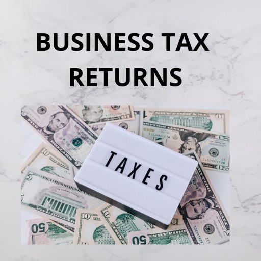 BUSINESS TAX RETURNS