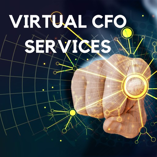 VIRTUAL CFO