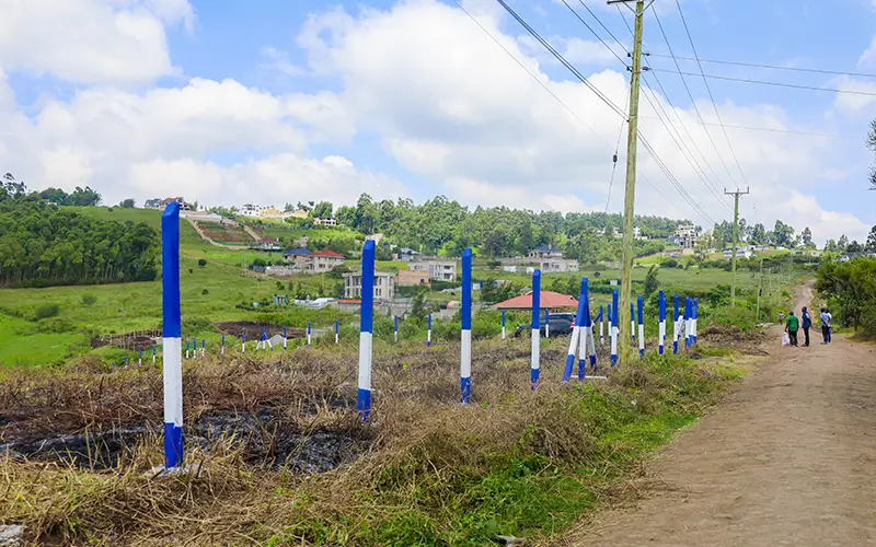 Crest Gardens Phase 1 — gallery