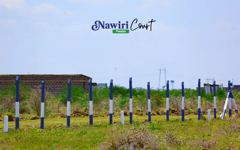 Nawiri Court — gallery