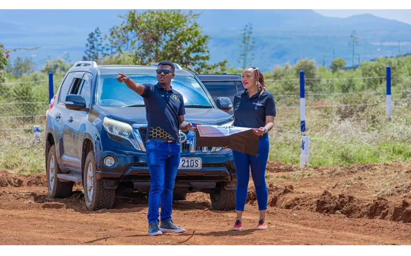 Ngong Plains Phase 2 — gallery