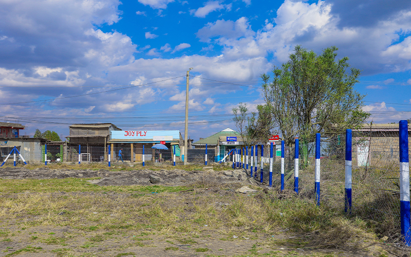 Prime Gardens Katani — gallery