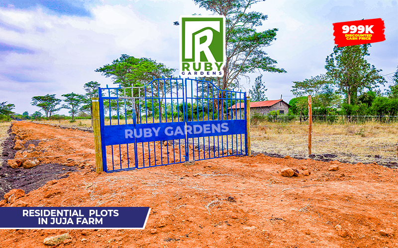 Ruby Gardens | Juja Farm — gallery